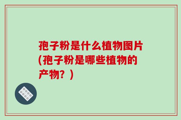 孢子粉是什么植物图片(孢子粉是哪些植物的产物?)-第1张图片-破壁灵芝孢子粉研究指南 孢子粉是什么植物图片(孢子粉是哪些植物的产物?)-第1张图片-破壁灵芝孢子粉研究指南