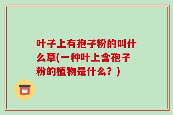 叶子上有孢子粉的叫什么草(一种叶上含孢子粉的植物是什么?)-第1张图片-破壁灵芝孢子粉研究指南 叶子上有孢子粉的叫什么草(一种叶上含孢子粉的植物是什么?)-第1张图片-破壁灵芝孢子粉研究指南