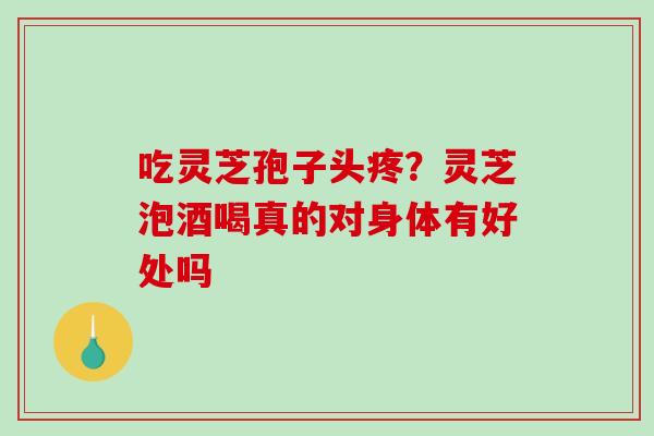 吃灵芝孢子头疼？灵芝泡酒喝真的对身体有好处吗-第1张图片-破壁灵芝孢子粉研究指南