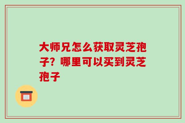 大师兄怎么获取灵芝孢子?哪里可以买到灵芝孢子-第1张图片-破壁灵芝孢子粉研究指南 大师兄怎么获取灵芝孢子?哪里可以买到灵芝孢子-第1张图片-破壁灵芝孢子粉研究指南