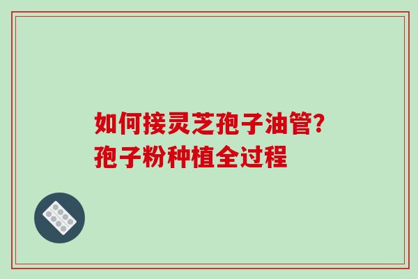 如何接灵芝孢子油管?孢子粉种植全过程-第1张图片-破壁灵芝孢子粉研究指南 如何接灵芝孢子油管?孢子粉种植全过程-第1张图片-破壁灵芝孢子粉研究指南
