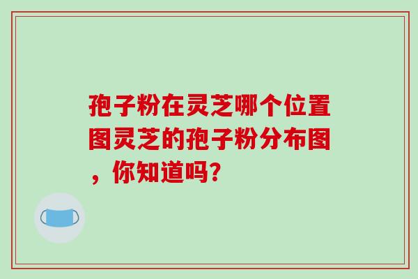 孢子粉在灵芝哪个位置图灵芝的孢子粉分布图，你知道吗？-第1张图片-破壁灵芝孢子粉研究指南