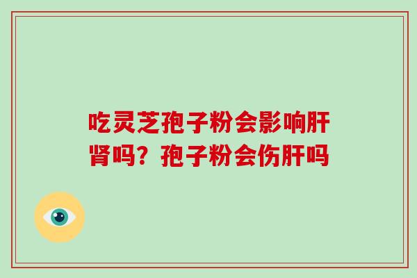 吃灵芝孢子粉会影响肝肾吗？孢子粉会伤肝吗-第1张图片-破壁灵芝孢子粉研究指南