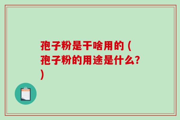 孢子粉是干啥用的 (孢子粉的用途是什么？)-第1张图片-破壁灵芝孢子粉研究指南