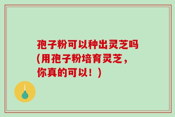 孢子粉可以种出灵芝吗(用孢子粉培育灵芝,你真的可以!)-第1张图片-破壁灵芝孢子粉研究指南 孢子粉可以种出灵芝吗(用孢子粉培育灵芝,你真的可以!)-第1张图片-破壁灵芝孢子粉研究指南