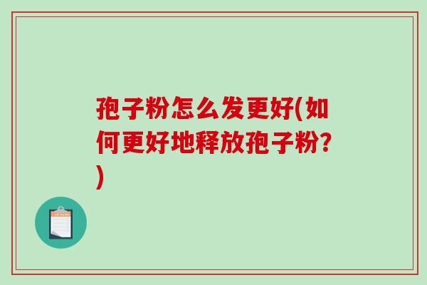 孢子粉怎么发更好(如何更好地释放孢子粉?)-第1张图片-破壁灵芝孢子粉研究指南 孢子粉怎么发更好(如何更好地释放孢子粉?)-第1张图片-破壁灵芝孢子粉研究指南