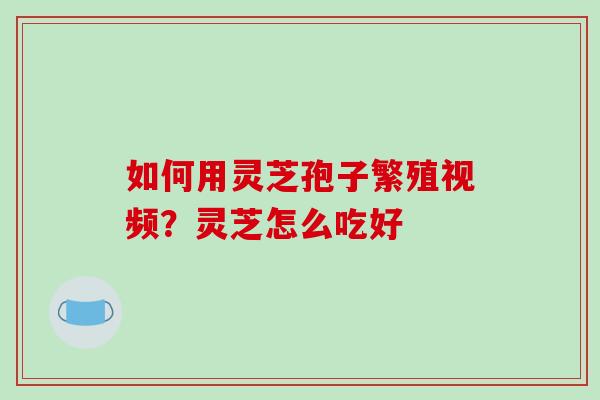 如何用灵芝孢子繁殖视频?灵芝怎么吃好-第1张图片-破壁灵芝孢子粉研究指南 如何用灵芝孢子繁殖视频?灵芝怎么吃好-第1张图片-破壁灵芝孢子粉研究指南