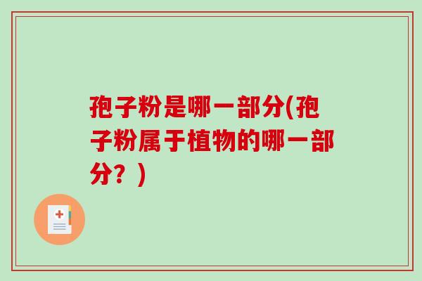 孢子粉是哪一部分(孢子粉属于植物的哪一部分?)-第1张图片-破壁灵芝孢子粉研究指南 孢子粉是哪一部分(孢子粉属于植物的哪一部分?)-第1张图片-破壁灵芝孢子粉研究指南