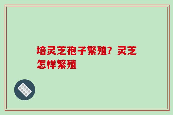 培灵芝孢子繁殖?灵芝怎样繁殖-第1张图片-破壁灵芝孢子粉研究指南 培灵芝孢子繁殖?灵芝怎样繁殖-第1张图片-破壁灵芝孢子粉研究指南