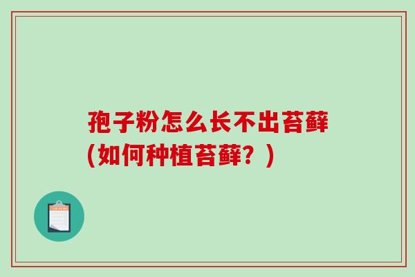 孢子粉怎么长不出苔藓(如何种植苔藓?)-第1张图片-破壁灵芝孢子粉研究指南 孢子粉怎么长不出苔藓(如何种植苔藓?)-第1张图片-破壁灵芝孢子粉研究指南