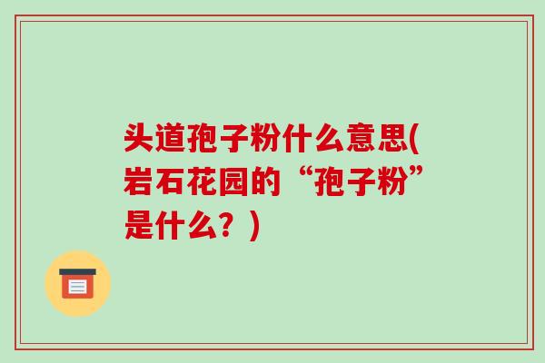头道孢子粉什么意思(岩石花园的“孢子粉”是什么?)-第1张图片-破壁灵芝孢子粉研究指南 头道孢子粉什么意思(岩石花园的“孢子粉”是什么?)-第1张图片-破壁灵芝孢子粉研究指南