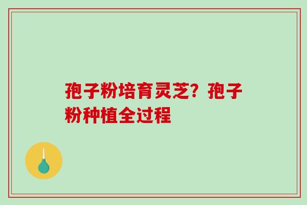孢子粉培育灵芝?孢子粉种植全过程-第1张图片-破壁灵芝孢子粉研究指南 孢子粉培育灵芝?孢子粉种植全过程-第1张图片-破壁灵芝孢子粉研究指南