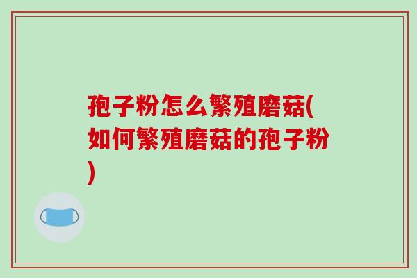 孢子粉怎么繁殖磨菇(如何繁殖磨菇的孢子粉)-第1张图片-破壁灵芝孢子粉研究指南 孢子粉怎么繁殖磨菇(如何繁殖磨菇的孢子粉)-第1张图片-破壁灵芝孢子粉研究指南