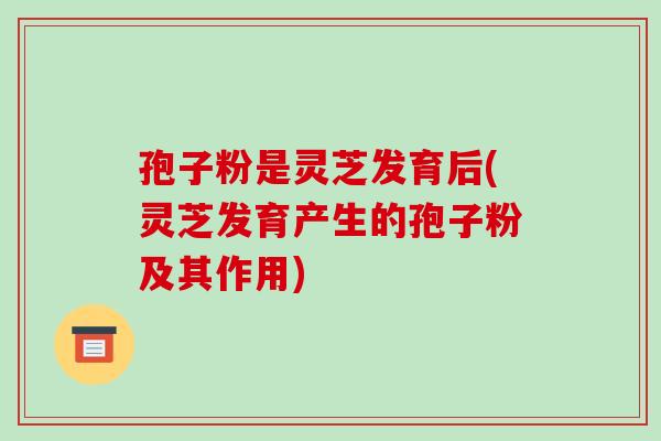 孢子粉是灵芝发育后(灵芝发育产生的孢子粉及其作用)-第1张图片-破壁灵芝孢子粉研究指南 孢子粉是灵芝发育后(灵芝发育产生的孢子粉及其作用)-第1张图片-破壁灵芝孢子粉研究指南