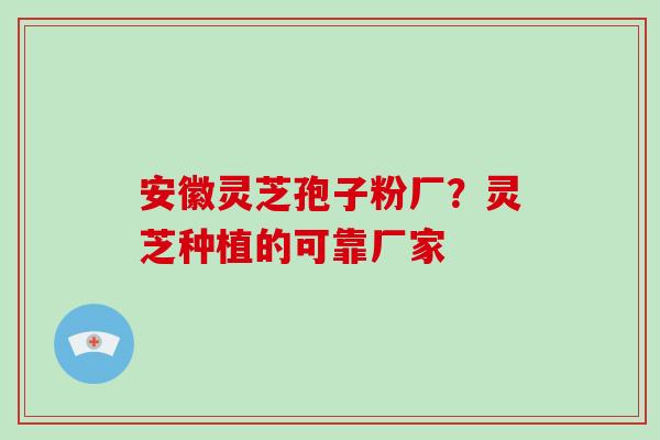 安徽灵芝孢子粉厂?灵芝种植的可靠厂家-第1张图片-破壁灵芝孢子粉研究指南 安徽灵芝孢子粉厂?灵芝种植的可靠厂家-第1张图片-破壁灵芝孢子粉研究指南