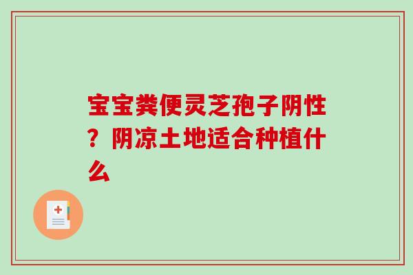 宝宝粪便灵芝孢子阴性?阴凉土地适合种植什么-第1张图片-破壁灵芝孢子粉研究指南 宝宝粪便灵芝孢子阴性?阴凉土地适合种植什么-第1张图片-破壁灵芝孢子粉研究指南