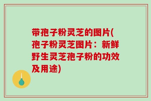 带孢子粉灵芝的图片(孢子粉灵芝图片:新鲜野生灵芝孢子粉的功效及用途)-第1张图片-破壁灵芝孢子粉研究指南 带孢子粉灵芝的图片(孢子粉灵芝图片:新鲜野生灵芝孢子粉的功效及用途)-第1张图片-破壁灵芝孢子粉研究指南