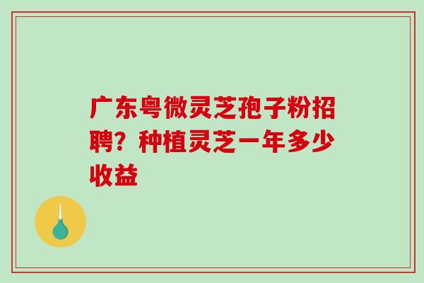广东粤微灵芝孢子粉招聘?种植灵芝一年多少收益-第1张图片-破壁灵芝孢子粉研究指南 广东粤微灵芝孢子粉招聘?种植灵芝一年多少收益-第1张图片-破壁灵芝孢子粉研究指南