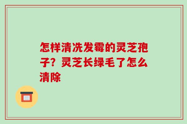 怎样清冼发霉的灵芝孢子？灵芝长绿毛了怎么清除-第1张图片-破壁灵芝孢子粉研究指南
