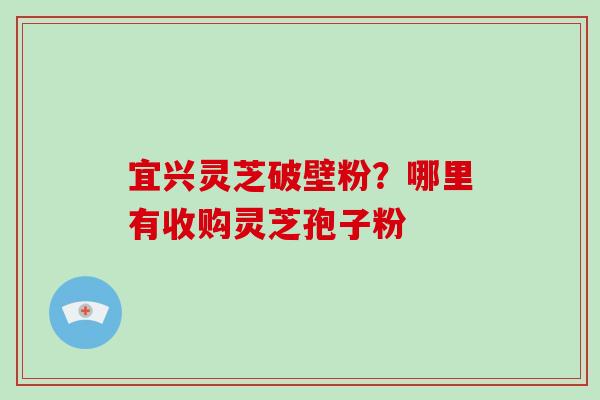 宜兴灵芝破壁粉？哪里有收购灵芝孢子粉-第1张图片-破壁灵芝孢子粉研究指南