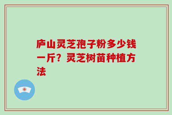庐山灵芝孢子粉多少钱一斤?灵芝树苗种植方法-第1张图片-破壁灵芝孢子粉研究指南 庐山灵芝孢子粉多少钱一斤?灵芝树苗种植方法-第1张图片-破壁灵芝孢子粉研究指南