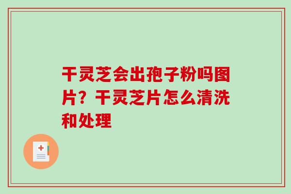 干灵芝会出孢子粉吗图片？干灵芝片怎么清洗和处理-第1张图片-破壁灵芝孢子粉研究指南