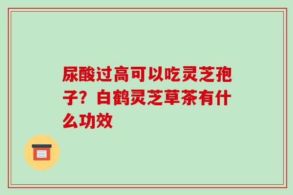尿酸过高可以吃灵芝孢子?白鹤灵芝草茶有什么功效-第1张图片-破壁灵芝孢子粉研究指南 尿酸过高可以吃灵芝孢子?白鹤灵芝草茶有什么功效-第1张图片-破壁灵芝孢子粉研究指南