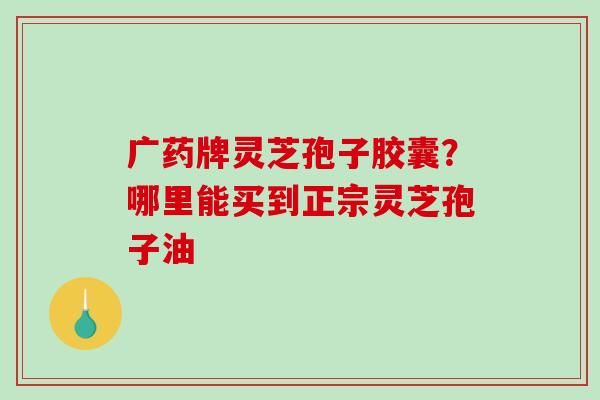 广药牌灵芝孢子胶囊?哪里能买到正宗灵芝孢子油-第1张图片-破壁灵芝孢子粉研究指南 广药牌灵芝孢子胶囊?哪里能买到正宗灵芝孢子油-第1张图片-破壁灵芝孢子粉研究指南