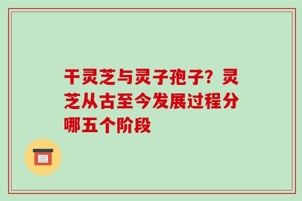 干灵芝与灵子孢子？灵芝从古至今发展过程分哪五个阶段-第1张图片-破壁灵芝孢子粉研究指南