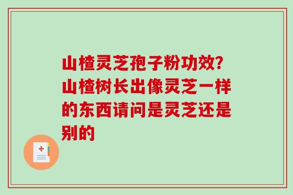山楂灵芝孢子粉功效?山楂树长出像灵芝一样的东西请问是灵芝还是别的-第1张图片-破壁灵芝孢子粉研究指南 山楂灵芝孢子粉功效?山楂树长出像灵芝一样的东西请问是灵芝还是别的-第1张图片-破壁灵芝孢子粉研究指南