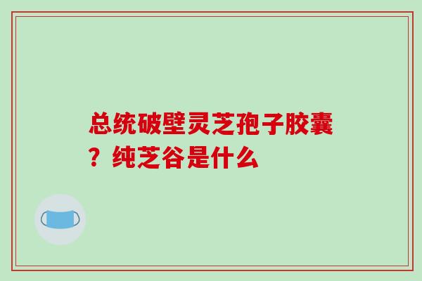 总统破壁灵芝孢子胶囊?纯芝谷是什么-第1张图片-破壁灵芝孢子粉研究指南 总统破壁灵芝孢子胶囊?纯芝谷是什么-第1张图片-破壁灵芝孢子粉研究指南