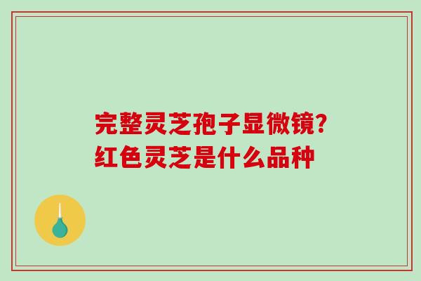 完整灵芝孢子显微镜?红色灵芝是什么品种-第1张图片-破壁灵芝孢子粉研究指南 完整灵芝孢子显微镜?红色灵芝是什么品种-第1张图片-破壁灵芝孢子粉研究指南