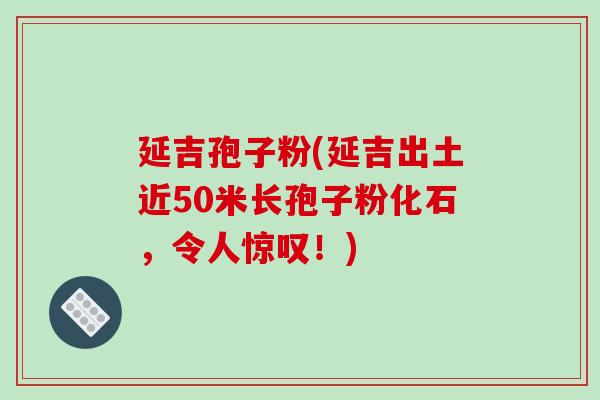 延吉孢子粉(延吉出土近50米长孢子粉化石,令人惊叹!)-第1张图片-破壁灵芝孢子粉研究指南 延吉孢子粉(延吉出土近50米长孢子粉化石,令人惊叹!)-第1张图片-破壁灵芝孢子粉研究指南
