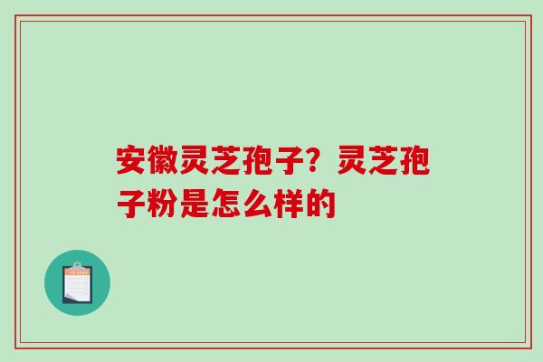 安徽灵芝孢子？灵芝孢子粉是怎么样的-第1张图片-破壁灵芝孢子粉研究指南
