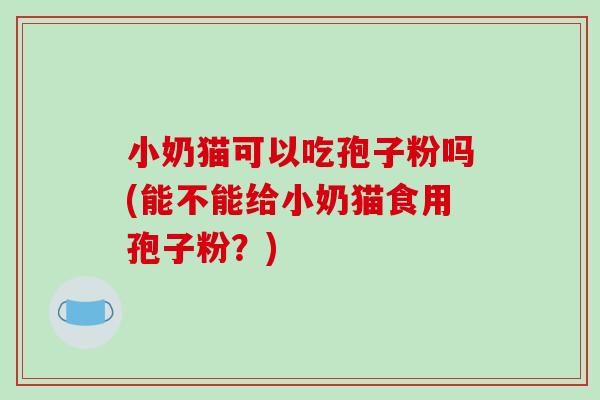 小奶猫可以吃孢子粉吗(能不能给小奶猫食用孢子粉？)-第1张图片-破壁灵芝孢子粉研究指南