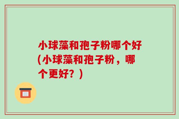小球藻和孢子粉哪个好(小球藻和孢子粉,哪个更好?)-第1张图片-破壁灵芝孢子粉研究指南 小球藻和孢子粉哪个好(小球藻和孢子粉,哪个更好?)-第1张图片-破壁灵芝孢子粉研究指南