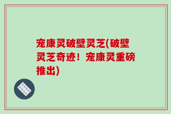 宠康灵破壁灵芝(破壁灵芝奇迹！宠康灵重磅推出)-第1张图片-破壁灵芝孢子粉研究指南