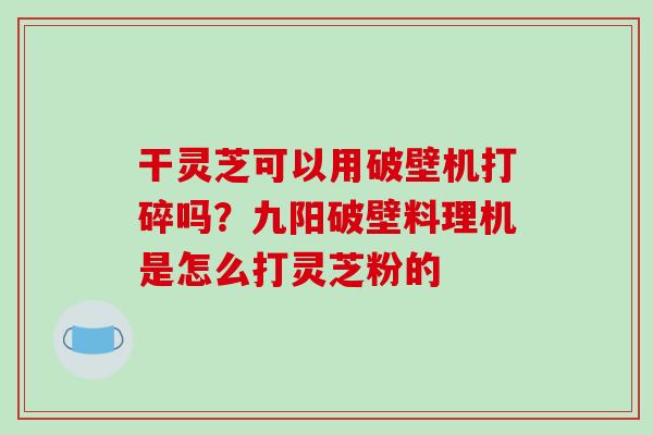 干灵芝可以用破壁机打碎吗?九阳破壁料理机是怎么打灵芝粉的-第1张图片-破壁灵芝孢子粉研究指南 干灵芝可以用破壁机打碎吗?九阳破壁料理机是怎么打灵芝粉的-第1张图片-破壁灵芝孢子粉研究指南