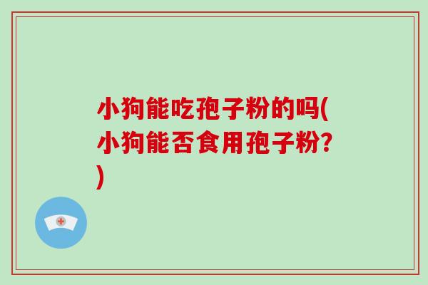 小狗能吃孢子粉的吗(小狗能否食用孢子粉?)-第1张图片-破壁灵芝孢子粉研究指南 小狗能吃孢子粉的吗(小狗能否食用孢子粉?)-第1张图片-破壁灵芝孢子粉研究指南