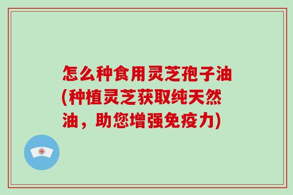怎么种食用灵芝孢子油(种植灵芝获取纯天然油,助您增强免疫力)-第1张图片-破壁灵芝孢子粉研究指南 怎么种食用灵芝孢子油(种植灵芝获取纯天然油,助您增强免疫力)-第1张图片-破壁灵芝孢子粉研究指南