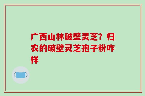 广西山林破壁灵芝?归农的破壁灵芝孢子粉咋样-第1张图片-破壁灵芝孢子粉研究指南 广西山林破壁灵芝?归农的破壁灵芝孢子粉咋样-第1张图片-破壁灵芝孢子粉研究指南