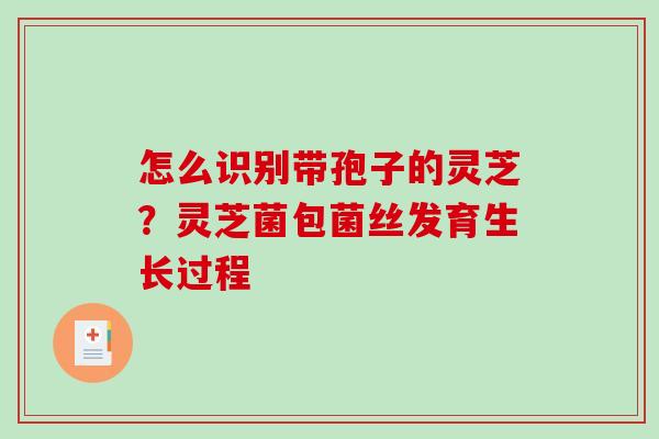 怎么识别带孢子的灵芝？灵芝菌包菌丝发育生长过程-第1张图片-破壁灵芝孢子粉研究指南