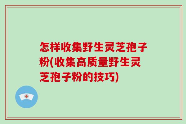 怎样收集野生灵芝孢子粉(收集高质量野生灵芝孢子粉的技巧)-第1张图片-破壁灵芝孢子粉研究指南 怎样收集野生灵芝孢子粉(收集高质量野生灵芝孢子粉的技巧)-第1张图片-破壁灵芝孢子粉研究指南
