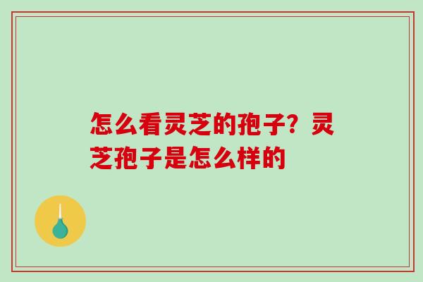 怎么看灵芝的孢子?灵芝孢子是怎么样的-第1张图片-破壁灵芝孢子粉研究指南 怎么看灵芝的孢子?灵芝孢子是怎么样的-第1张图片-破壁灵芝孢子粉研究指南