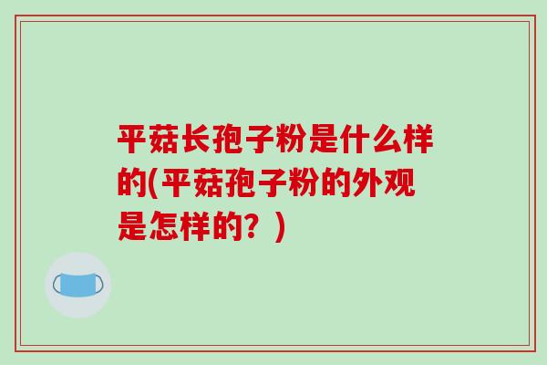 平菇长孢子粉是什么样的(平菇孢子粉的外观是怎样的?)-第1张图片-破壁灵芝孢子粉研究指南 平菇长孢子粉是什么样的(平菇孢子粉的外观是怎样的?)-第1张图片-破壁灵芝孢子粉研究指南