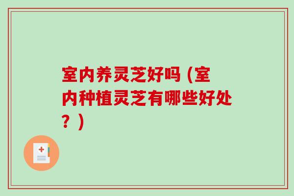 室内养灵芝好吗 (室内种植灵芝有哪些好处？)-第1张图片-破壁灵芝孢子粉研究指南