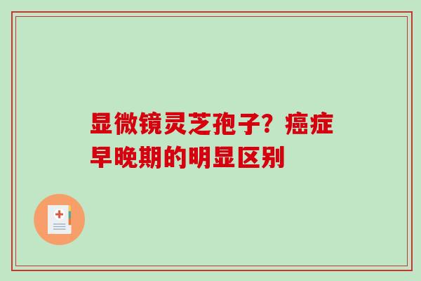 显微镜灵芝孢子?癌症早晚期的明显区别-第1张图片-破壁灵芝孢子粉研究指南 显微镜灵芝孢子?癌症早晚期的明显区别-第1张图片-破壁灵芝孢子粉研究指南