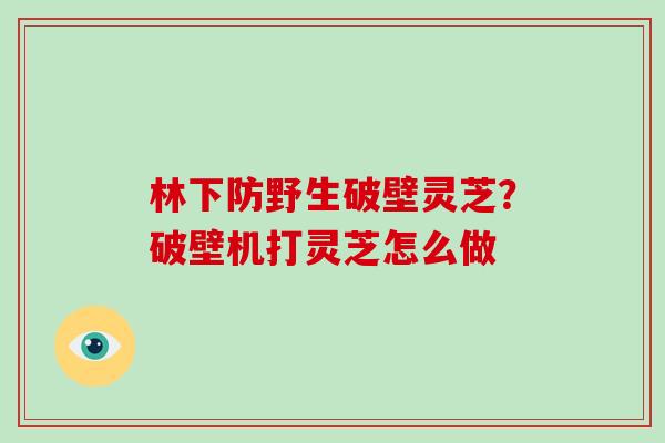 林下防野生破壁灵芝?破壁机打灵芝怎么做-第1张图片-破壁灵芝孢子粉研究指南 林下防野生破壁灵芝?破壁机打灵芝怎么做-第1张图片-破壁灵芝孢子粉研究指南