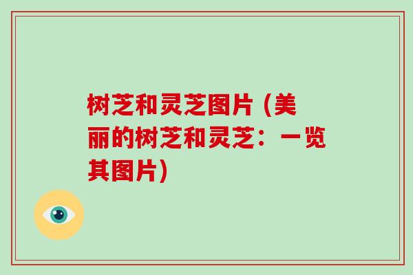 树芝和灵芝图片 (美丽的树芝和灵芝:一览其图片)-第1张图片-破壁灵芝孢子粉研究指南 树芝和灵芝图片 (美丽的树芝和灵芝:一览其图片)-第1张图片-破壁灵芝孢子粉研究指南
