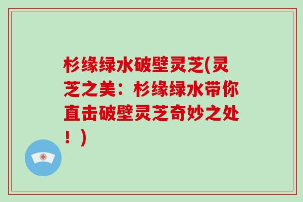 杉缘绿水破壁灵芝(灵芝之美:杉缘绿水带你直击破壁灵芝奇妙之处!)-第1张图片-破壁灵芝孢子粉研究指南 杉缘绿水破壁灵芝(灵芝之美:杉缘绿水带你直击破壁灵芝奇妙之处!)-第1张图片-破壁灵芝孢子粉研究指南